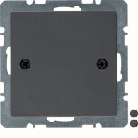 10096076 - Blind plug centre plate, screw-on, Q.x, ant. velvety, lacq.
