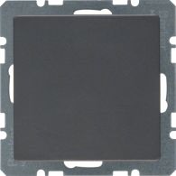 10096086 - Blind plug centre plate, Q.x, ant. velvety, lacq.