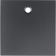 11461606 - Centre plate for pullcord switch/pullcord push-button, B.3/B.7, ant., matt