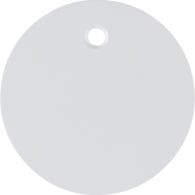 11462089 - Centre plate for pullcord switch/pullcord push-button, R.1/R.3, p. white glossy