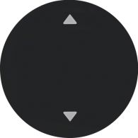 16202005 - Rocker imprinted arrows symbol, R.1/R.3, black glossy
