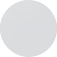 16202089 - Tecla simple, R.1/R.3, blanco polar, brillo