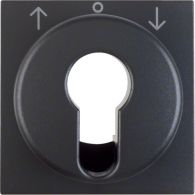 15061606 - Centre plate for key push-button for blinds/key switch, B.3/B.7, ant., matt