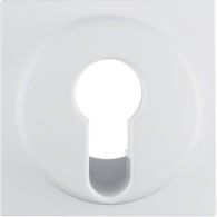 15076089 - Centre plate for key switch/key push-button, Q.x, p. white velvety
