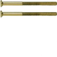 189512 - Two-hole screws 2 x M3.5 x 50 mm, TS, gold glossy, 24-carat galvanised