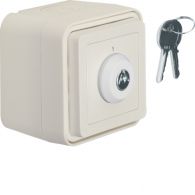 32713502 - Key switch impr. surf.-mtd,isolated input ,lock-differing lockings,W1